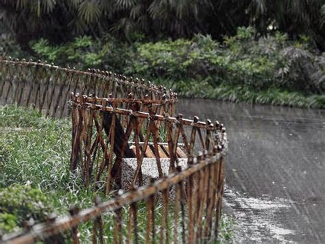 夢見大風大雨|50 個雨夢解讀：夢見雨、夢見下雨、夢見大雨、夢見暴風雨、夢。